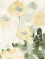 Image Not Available